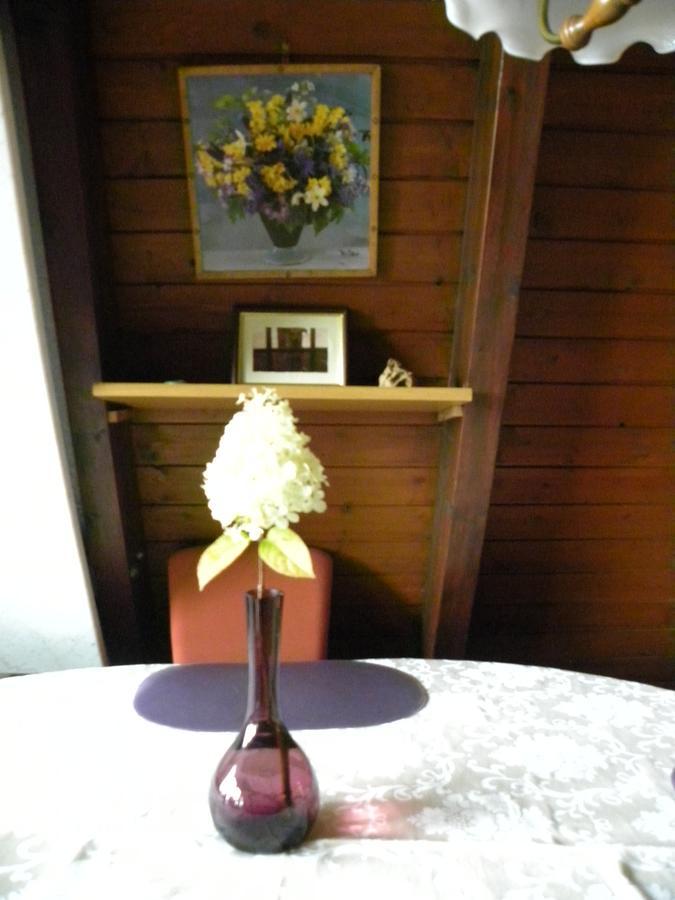 Ferienhaus Sommerland Auszeithuette 프레이분크 외부 사진